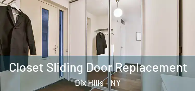 Closet Sliding Door Replacement Dix Hills - NY