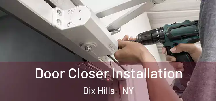 Door Closer Installation Dix Hills - NY