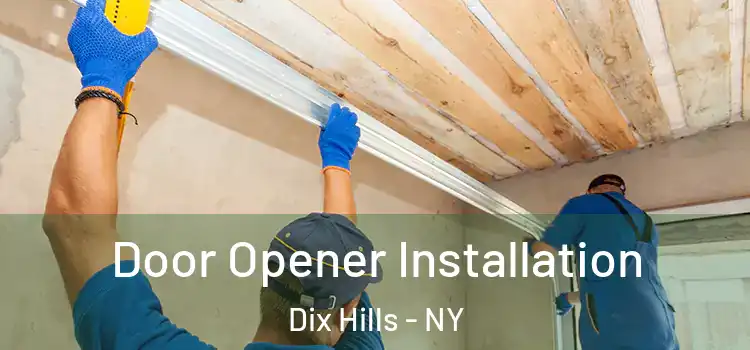  Door Opener Installation Dix Hills - NY