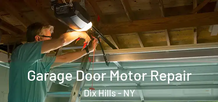  Garage Door Motor Repair Dix Hills - NY