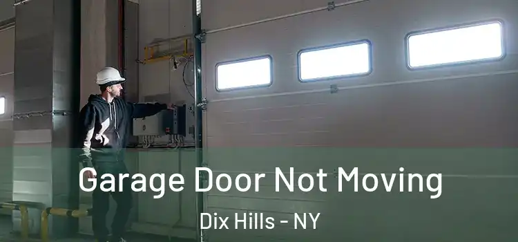  Garage Door Not Moving Dix Hills - NY