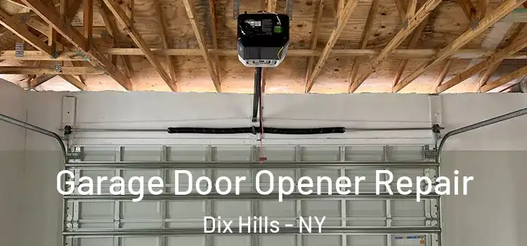  Garage Door Opener Repair Dix Hills - NY