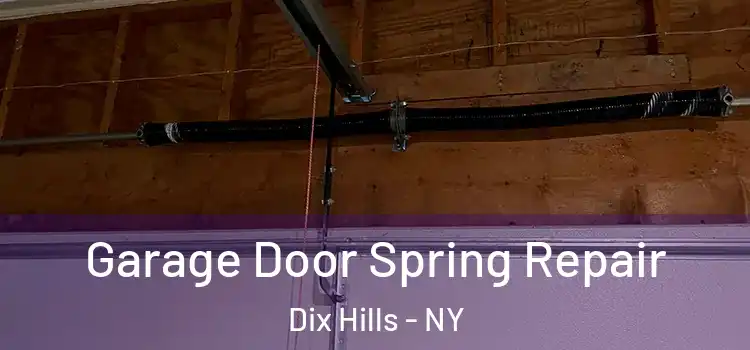  Garage Door Spring Repair Dix Hills - NY