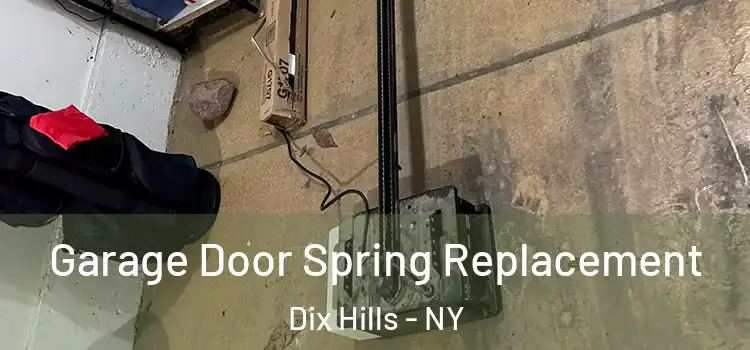  Garage Door Spring Replacement Dix Hills - NY