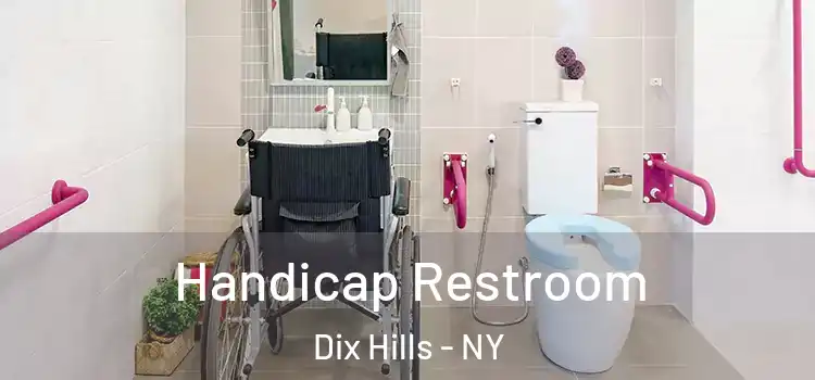 Handicap Restroom Dix Hills - NY