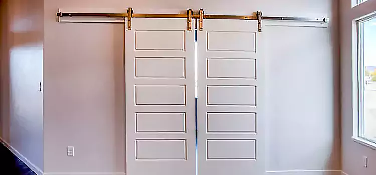 Glass Barn Door with Installation Hardware Kit Dix Hills