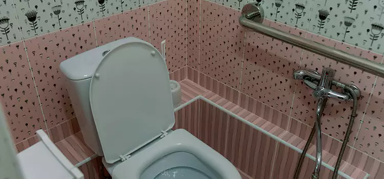 Meeting Diverse Needs With Accessible Restroom Solutions in Dix Hills, NY