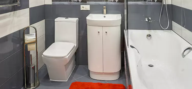Hansgrohe Shaving Mirror Dix Hills