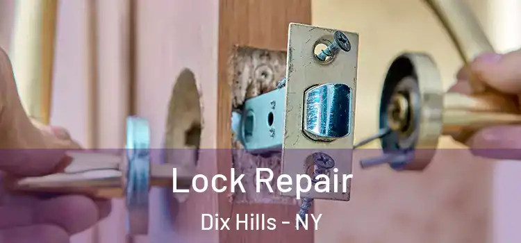 Lock Repair Dix Hills - NY