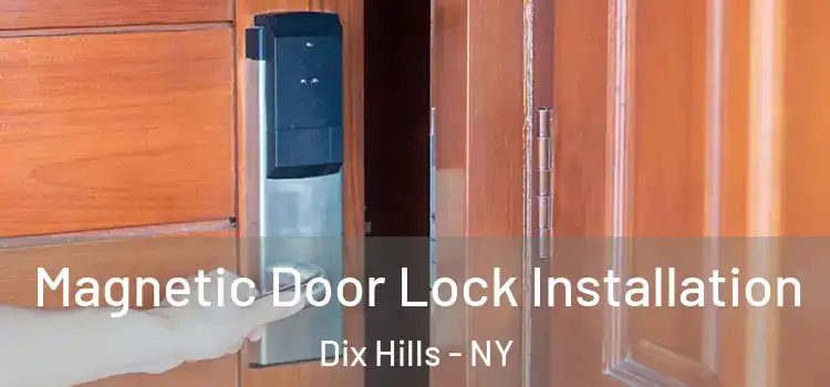  Magnetic Door Lock Installation Dix Hills - NY
