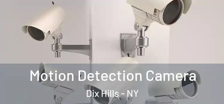  Motion Detection Camera Dix Hills - NY