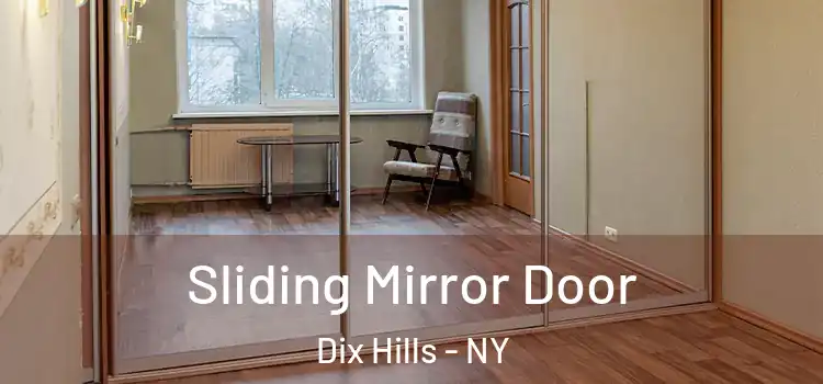  Sliding Mirror Door Dix Hills - NY
